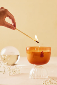 Coupe Mimosa Candle