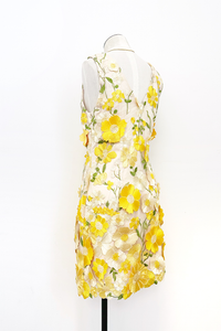 Aisha Floral Applique Mini Dress