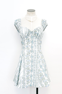 Bluebells Mini Dress