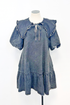 Cecilie Denim Collared Mini Dress
